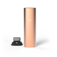 PAX 3 - Pink 1