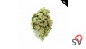 First Class CBD - bud