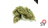 First Class CBD - dual bud