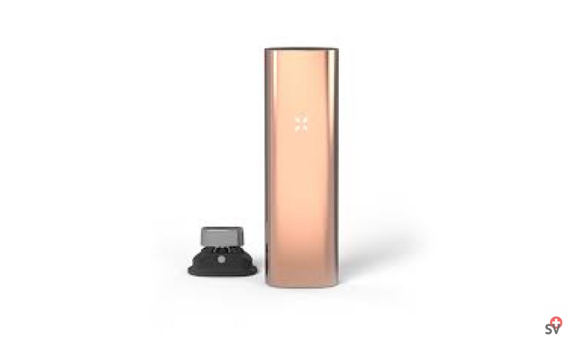 PAX 3 - Pink 1