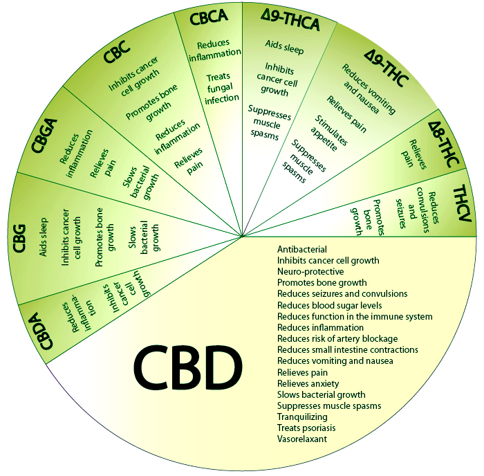 CBD Description